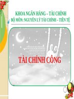 Bài Giảng Tài Chính Công  ( Combo Full Slides 6 Chương ) 