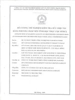 Đề cương thí nghiệm nén tĩnh cọc   dự án phát triển công nghiệp bw nam hải cn10 01