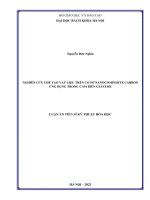 Nghiên cứu chế tạo vật liệu trên cơ sở nanocomposite carbon ứng dụng trong cảm biến glucose