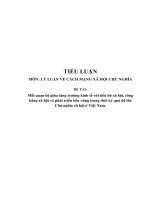 Tiểu luận mối quan hệ giữa tăng trưởng kinh tế với tiến bộ xã hội, công bằng xã hội và phát triển bền vững trong thời kỳ quá độ lên chủ nghĩa xã hội ở việt nam