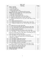 Báo cáo khoa học kĩ thuật lĩnh vực xã hội hành vi, dự án những ảnh hưởng tiêu cực của tâm lí đám đông đến học sinh thcs, giải pháp khắc phục