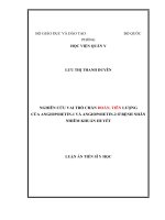 Nghiên cứu vai trò chẩn đoán, tiên lượng của Angiopoietin-1 và Angiopoietin-2 ở bệnh nhân nhiễm khuẩn huyết