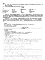 Giáo án sinh   3  câu hỏi hô hấp ở thực vật