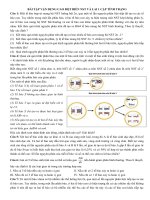 Đề thi ôn tập sinh học    1bài tập vận dụng cao đột biến nst và lai 1 cặp tính trạng (p2)
