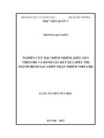 Nghiên cứu đặc điểm nhiễm, kiểu gen virus BK và đánh giá kết quả điều trị người bệnh sau ghép thận nhiễm virus BK