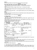 Giáo án sinh   2  câu hỏi quang hop