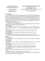 Ôn tập sinh   bac ninh 2015 2016 12