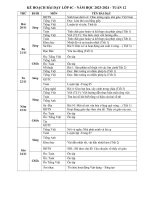 Giáo án bài giảng khối 4 tuần 12