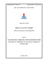 Giải pháp hoàn thiện hệ thống kênh phân phối tại công ty tnhh đầu tư sản xuất và dịch vụ nguồn việt
