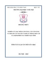 tóm tắt: Nghiên cứu đặc điểm lâm sàng, cận lâm sàng và một số căn nguyên vi khuẩn trong đợt cấp của bệnh phổi tắc nghẽn mạn tính