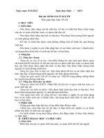 Khbd wrod 40 tv bài 40 ss o nguoi   khtn8 kntt bộ 1 vt