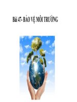 Khbd pp 47 tv bài 47 bảo vệ môi trường  khtn8 kntt bộ 1 vt