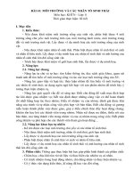 Khbd wrod 41 tv bài 41 mt va cac ntst khtn8 kntt bộ 1 vt