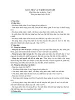 Khbd wrod 3 tv bài 3 mol và ti khoi chat khi  khtn8 kntt bộ 2 vt