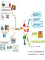 Sđtd 8 tv bài 8 acid khtn8 kntt bộ 1 vt
