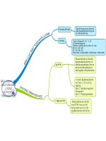 Sđtd 5 tv bài 5  đlbtkl và pthh khtn8 kntt bộ 2 vt