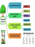 Sđtd 12 tv bài 12 phân bón hoá học khtn 8 kntt bộ 2 vt