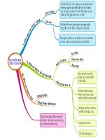 Bài 35  hệ bài tiết ở người  khtn8   kntt bộ 1 vt