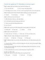 Bài 32 dinh dưỡng và tiêu hoá ở người  khtn8 kntt bộ 1 vt