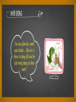 Khbd pp 8 tv bài 8 acid khtn8 kntt bộ 1 vt