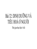 Bài 32 dinh dưỡng và tiêu hoá ở người  khtn8 kntt bộ 1 vt