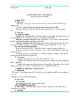 Tv bài 19 đòn bẩy và ứng dụng  khtn8  kntt bộ 1 vt