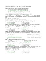 Bài 19 đòn bẩy và ứng dụng  khtn8  kntt bộ 1 vt