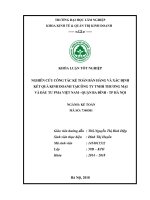 Nghiên cứu công tác kế toán bán hàng và xác định kết quả hoạt động kinh doanh tại công ty tnhh thương mại đầu tư pma việt nam