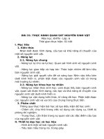 giáo án sinh học  4  khbd sinh học khtn 6 (kết nối tri thức với cuộc sống)