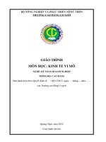 Giáo trình kinh tế vi mô (nghề kế toán doanh nghiệp   cao đẳng)