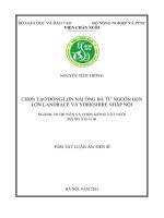 Tóm tắt: Chọn tạo dòng lợn nái ông bà từ nguồn gen Landrace và Yorkshire nhập nội