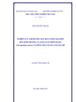 Nghiên cứu ảnh hưởng mật độ, lượng đạm bón đến sinh trưởng và năng suất diêm mạch (chenopodium quinoa) vụ đông 2014 tại gia lâm hà nội