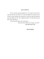 Luận văn nghi lễ vòng đời của người nùng ở huyện thống nhất, tỉnh đồng nai trong bối cảnh hiện nay