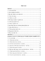 Luận văn bảo tồn và khai thác giá trị di tích lịch sử   văn hóa công thần miếu