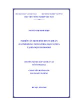 Nghiên cứu bệnh đốm đen vi khuẩn (xanthomonas vesicatoria) hại cà chua tại hà nội năm 2014   2015