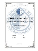 Group assignment subject legal english advanced 1