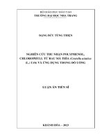 Nghiên cứu thu nhận polyphenol, chlorophyll từ rau má thìa (Centella asiatica (L.) Urb) và ứng dụng trong đồ uống