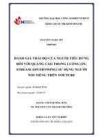 Đánh giá thái độ của người tiêu dùng đối với quảng cáo trong luồng (instream advertising) sử dụng người nổi tiếng trên youtube