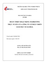 hoàn thiện hoạt động marketing trực tuyến của công ty cp phát triển giáo dục ss global