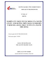 nghiên cứu nhân tố tác động của người có sức ảnh hưởng trên mạng xã hội đến ý định mua hàng trực tuyến của người tiêu dùng