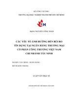 các yếu tố ảnh hưởng đến rủi ro tín dụng tại ngân hàng thương mại cổ phần công thương việt nam   chi nhánh tây ninh
