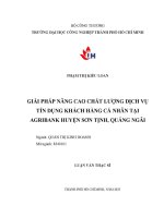giải pháp nâng cao chất lượng dịch vụ tín dụng khách hàng cá nhân tại ngân hàng nông nghiệp và phát triển nông thôn việt nam   chi nhánh huyện sơn tịnh quảng ngãi