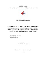 giải pháp phát triển nguồn nhân lực khu vực hành chính công thành phố quảng ngãi giai đoạn 2020   2025