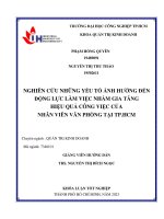 nghiên cứu những yếu tố ảnh hưởng đến động lực làm việc nhằm gia tăng hiệu quả công việc của nhân viên văn phòng tại thành phố hồ chí minh
