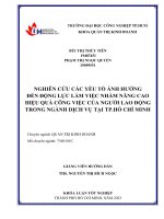 nghiên cứu các yếu tố ảnh hưởng đến động lực làm việc nhằm nâng cao hiệu quả công việc của người lao động trong ngành dịch vụ tại tp hồ chí minh