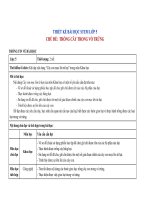 Stem 5   trồng cây trong vỏ trứng