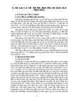 Tiểu luận  Tương lai của Thành phố hoa phượng giai đoạn 20042014