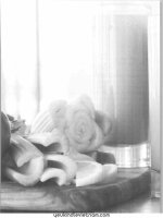 Cơ thể tự chữa lành thực phẩm thay đổi cuộc sống   thực phẩm đến từ trái cây và rau củ (phần 2)