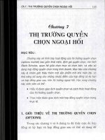 Thị trường ngoại hối và các giải pháp phòng ngừa rủi ro (quản trị rủi ro tài chính) phần 2