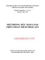 Sử dụng phần mềm procast mô phỏng một số phương pháp đúc kim loại